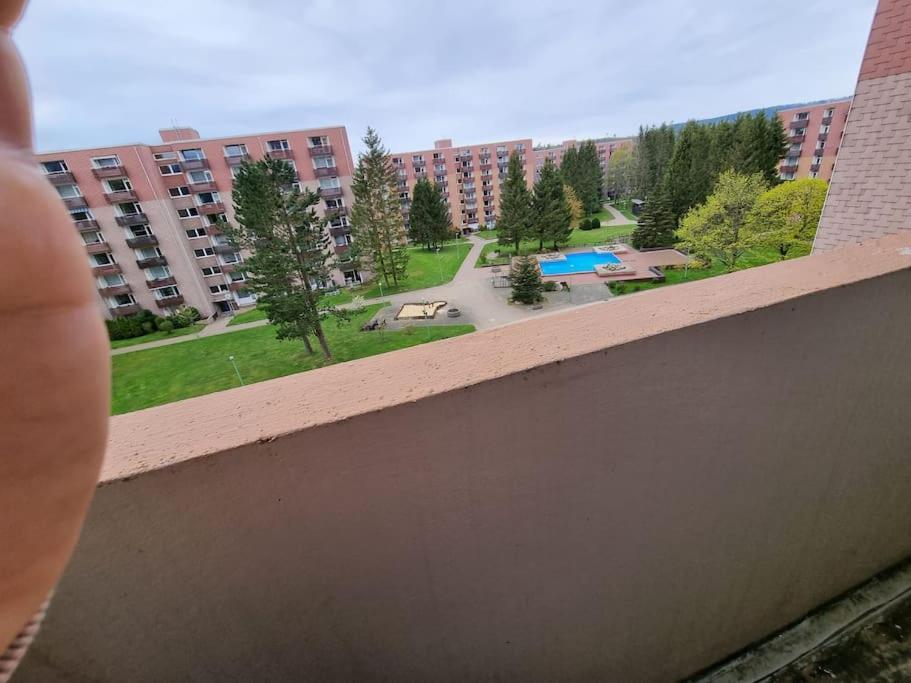 Ferienwohnung Altenau Im Harz, Hunde Dış mekan fotoğraf